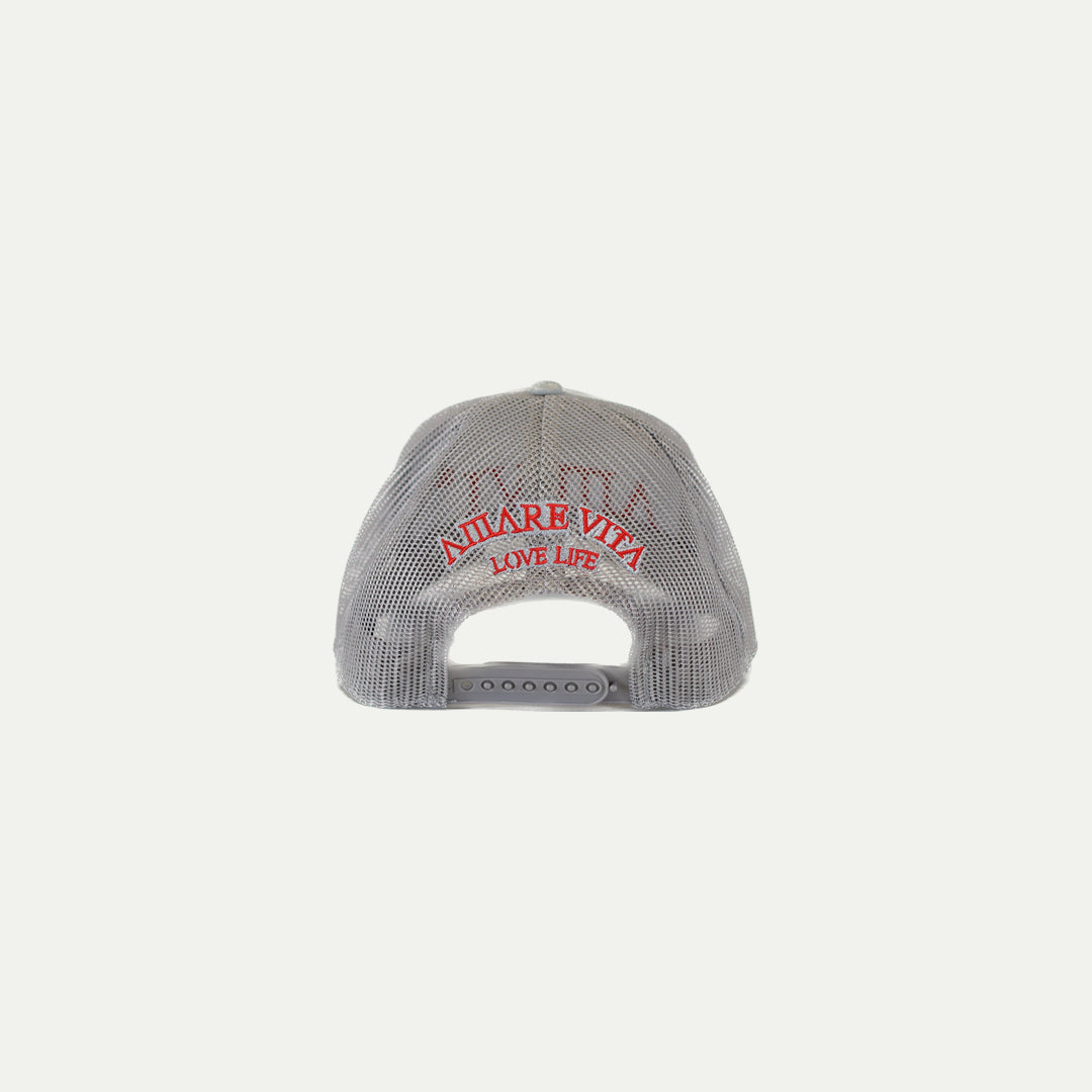 AMVI Grigio Sangue Cap